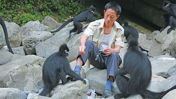 Caring for tribes of elfins