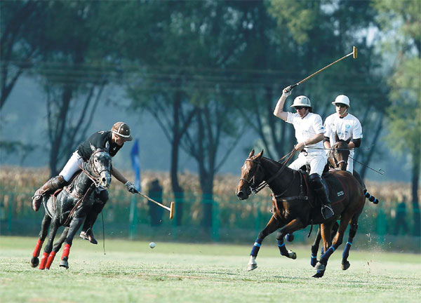 Polo hits its stride