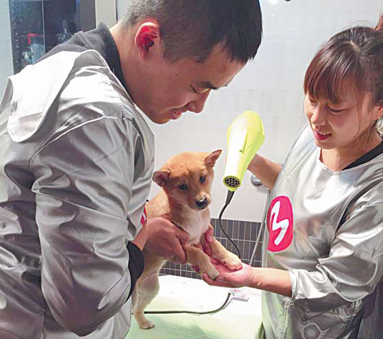 Apps bring the service sector to your doorstep