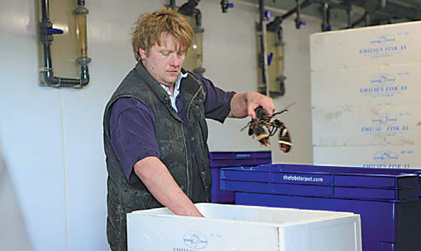 Wales sets the table for Chinese investors