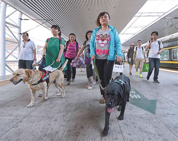 leading the way guide dogs zi long left and jenny guide ... - 600 x 476 jpeg 97kB