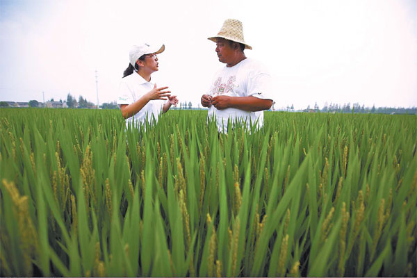 China's agriculture sector going for bigger harvest