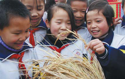 Rice, china industries still going strong