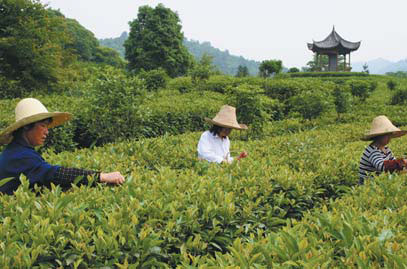 Rice, china industries still going strong