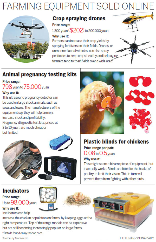 Seeds of success planted online