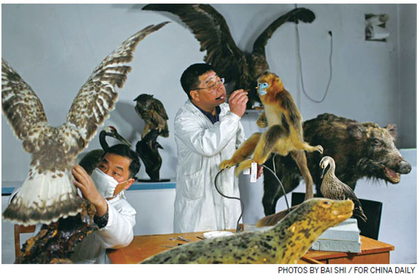 Re-creation of the wild