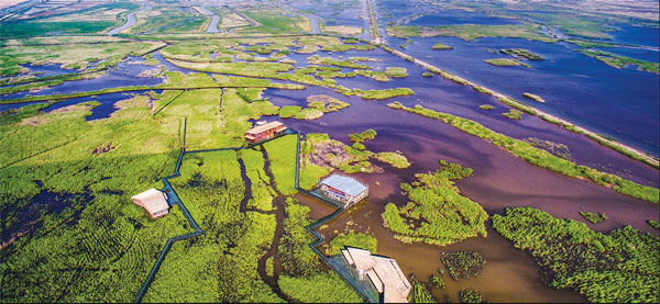 Let the good times flow