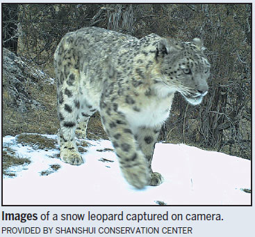 Wild land of the snow leopard