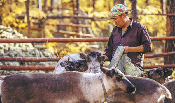 Filming fragments of life