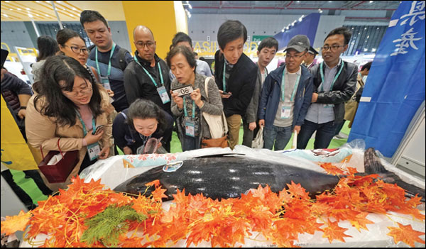 Xi says greater openness is key to future