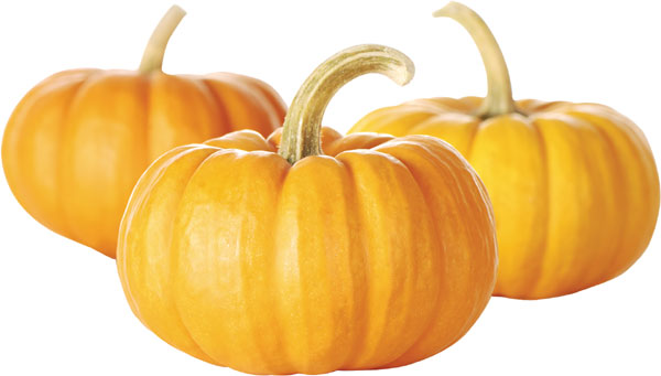 Sweet, warm golden fruit