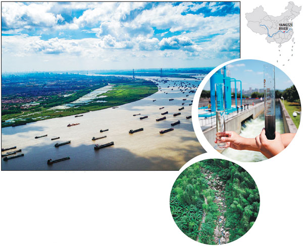 Action needed to save Yangtze fish