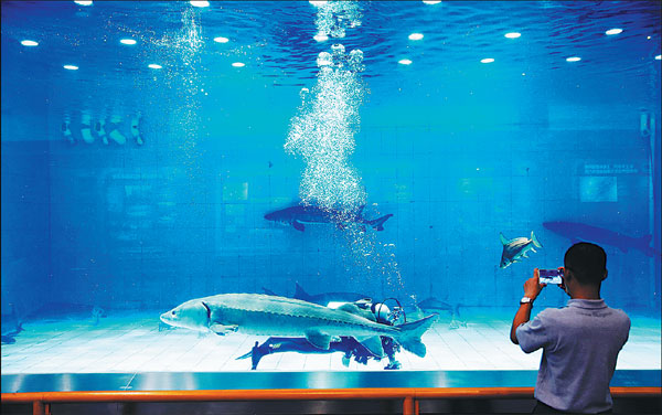 Action needed to save Yangtze fish