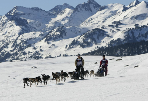 Sled dog racing in the Pyrenees mountains