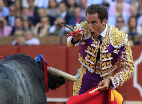 Bullfight in Spain