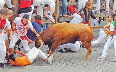 Bull run lures adrenaline junkies