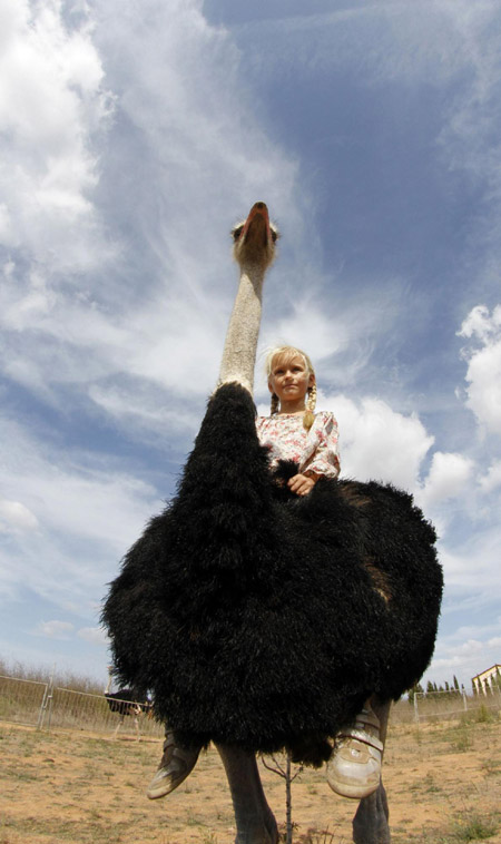 Take an ostrich ride in Spain