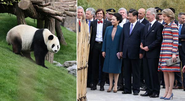Chinese, Belgian heads of state launch panda house
