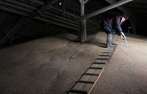 Russia set to boost global grain supply