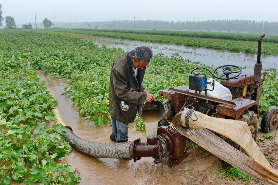 Watermelon plantation flooded after heavy rains in China's Hebei