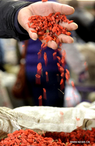 Harvest and trade for Chinese Wolfberry in Ningxia