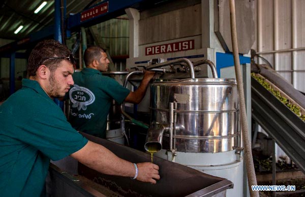 Olive festival kicks off at N Israel's olive oil factory