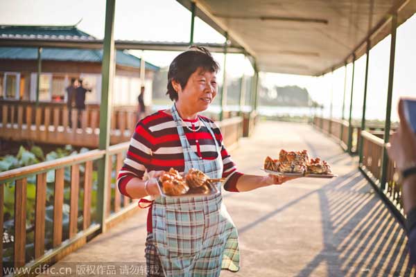 The Chinese delicacy: hairy crabs