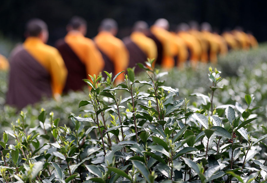 Steeping the leaves