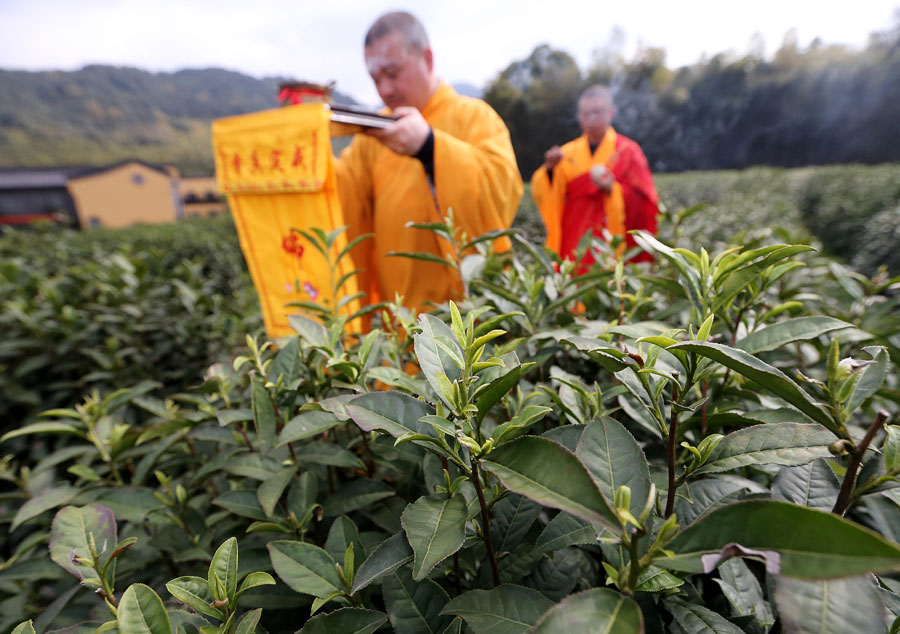 Steeping the leaves