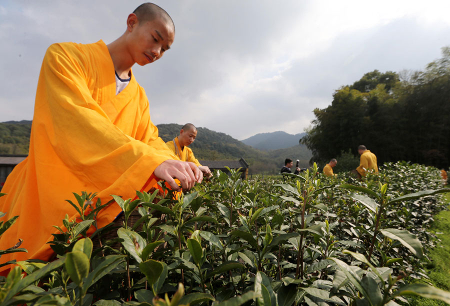 Steeping the leaves