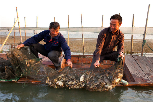 Grabbing crabs