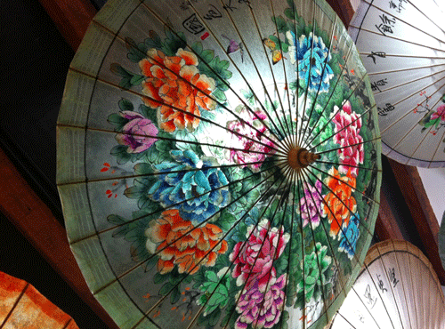 The revived Chinese oil paper umbrella