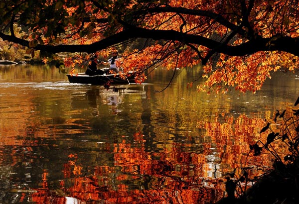 Deep autumn colors of Central Park