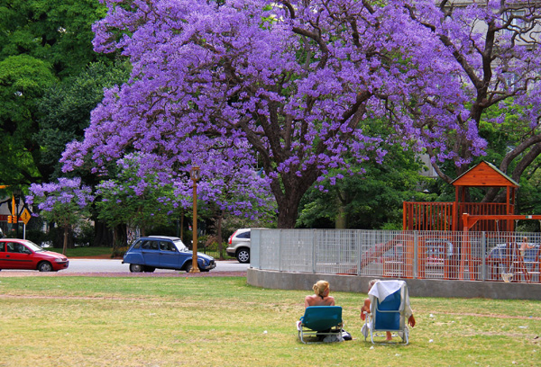 A season of purple