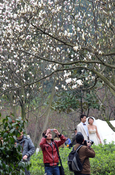 Flowers bloom in Shandong