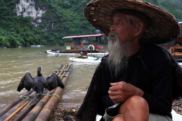 Enterprising villagers lure visitors with cormorants