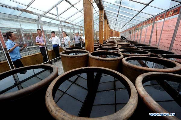 Theme museum displays process of making Shanxi mature vinegar