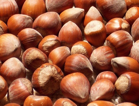 Five nuts to improve your physical quality in winter