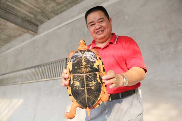 Turtle power propels Qinzhou