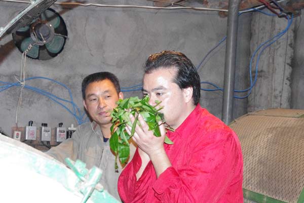 Expat consumes life in Chinese tea