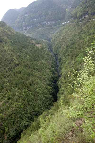 Nature works its magic in Chongqing