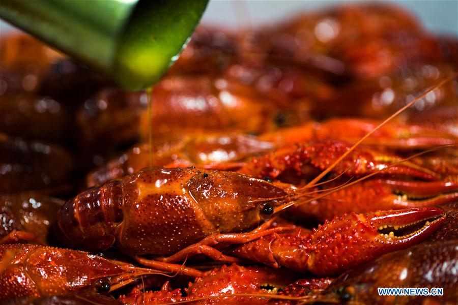 Int'l crayfish festival held in Xuyi, China's Jiangsu