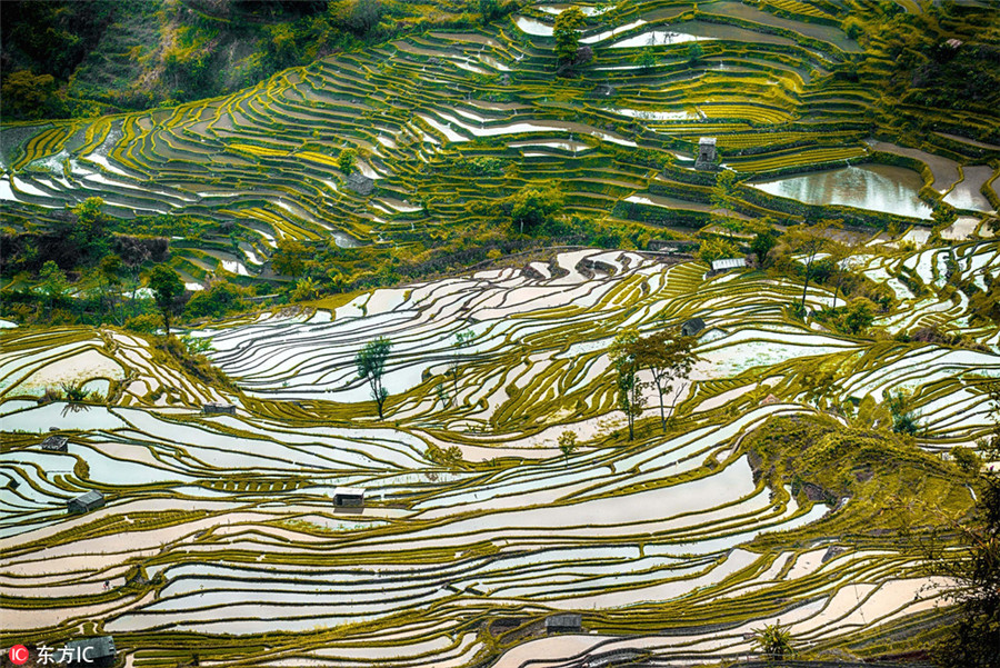 Colorful Yunnan through the lens of Italian photographer