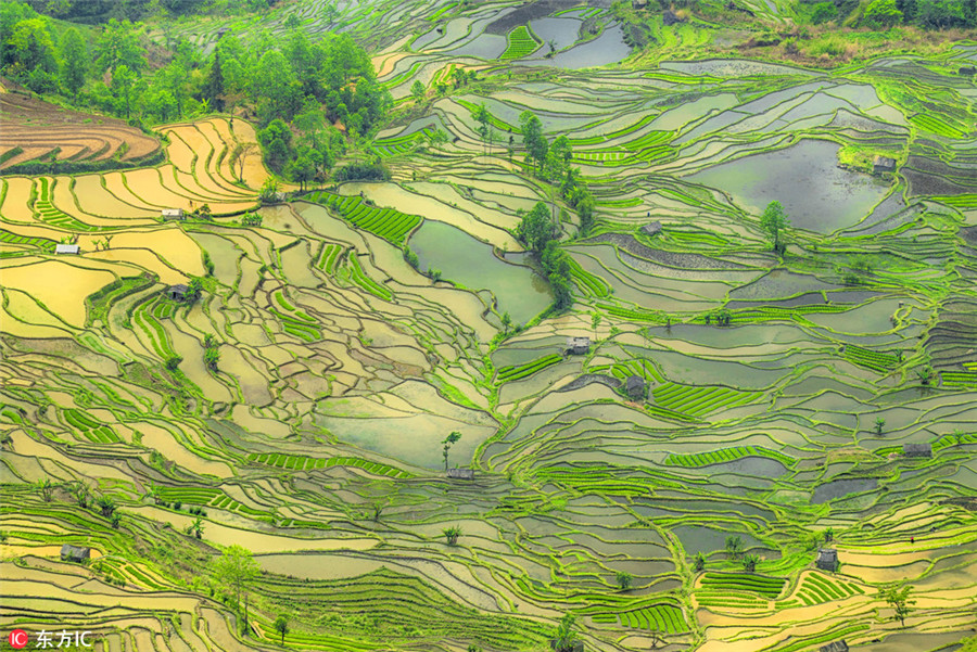 Colorful Yunnan through the lens of Italian photographer