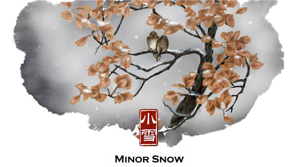 Minor Snow: A forerunner of winter chills