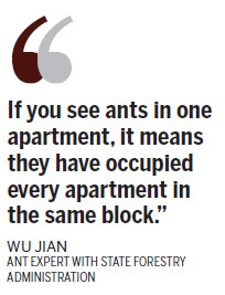 Ant attack