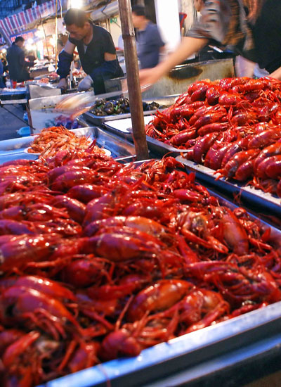 Crayfish: A tasty invader that is destroying ecosystems in China