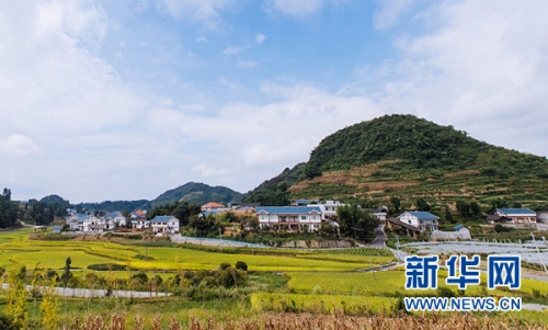 Govt efforts boost Guizhou's growth