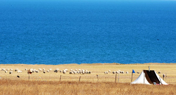 Weekly Photos: Oct 17 - 23