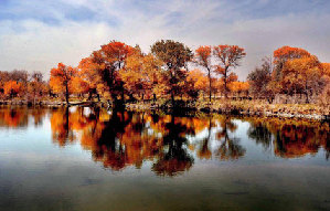 Autumn photos: A symphony of colors